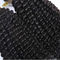 Boucle de cheveux humains brésilienne Afro Kinky Tissue