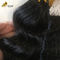 Vague profonde Brésilienne Vague profonde Boucles de cheveux naturels Perruques 12A Grade