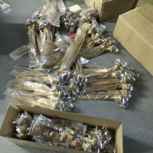 Dernière affaire concernant Comment choisir une nouvelle usine de cheveux