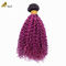 Afro Kinky Bouclé Racine foncée Violets Ombre Vierge Boucles de cheveux humains À vendre