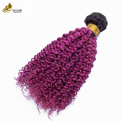 Afro Kinky Bouclé Racine foncée Violets Ombre Vierge Boucles de cheveux humains À vendre