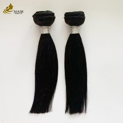 Paquets de cheveux humains vierges noirs naturels raides de 10 pouces avec fermeture de cheveux HD 2*6 de 10 pouces